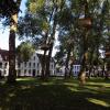di_20150928_033307_bruges_beguinage_triennale_tadashikawamata_2015_treehuts