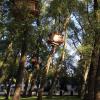 di_20150928_033338_bruges_beguinage_triennale_tadashikawamata_2015_treehuts