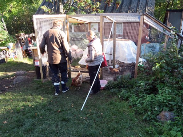 di_20151011_071100_suomenlinna_susisaari_chicken_coop