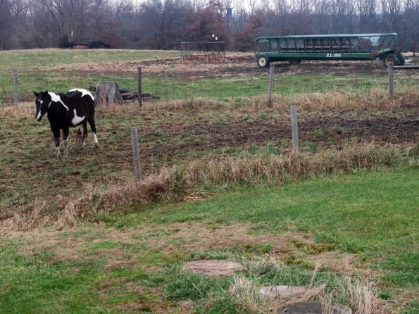 di_20151128_092450_fairfield_horse_trailer