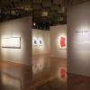 di_20160224_191533_unlv_marjoriebarrickmuseum_ellsworthkelly_show