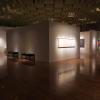 di_20160224_192540_unlv_marjoriebarrickmuseum_gallery
