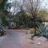 di_20160224_195607_unlv_xericgarden_path