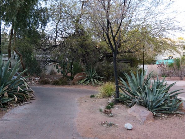 di_20160224_195607_unlv_xericgarden_path