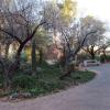 di_20160224_195625_unlv_xericgarden_bench