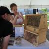 di_20160528_143836_portlandenergycentre_beekeeper