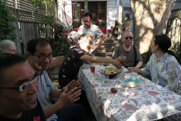 di_20160604_172744_palmerston_backyard_length