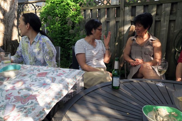 di_20160604_172750_palmerston_backyard_across