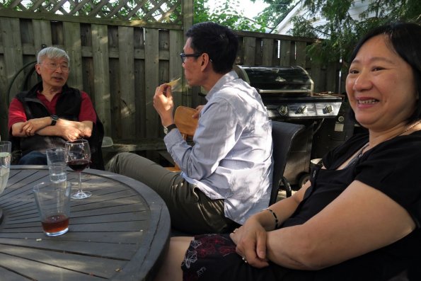 di_20160604_172812_palmerston_backyard_end