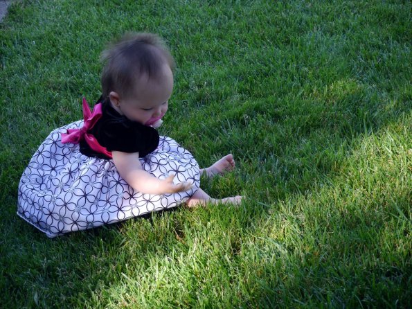 di_20160618_193952_heatherfarm_grass_baby
