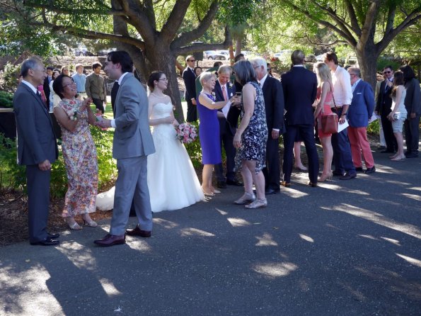 di_20160618_194140_heatherfarm_line