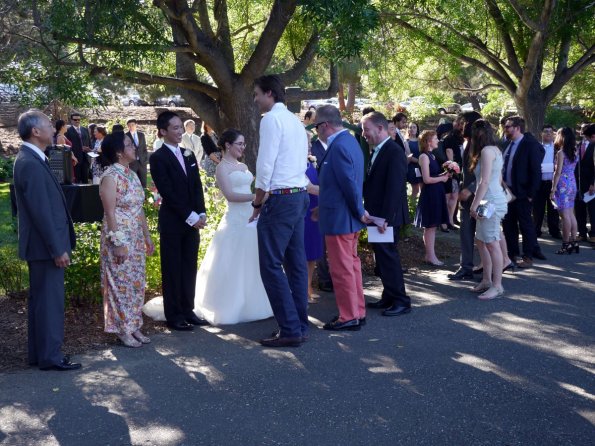 di_20160618_194308_heatherfarm_line