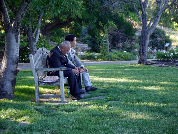 di_20160618_202708_heatherfarm_bench_grandfathers