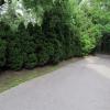 di_20160824_163707_edwardgardens_west_path_down