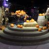 di_20161023_005408_downtowncontainerpark_pumpkins