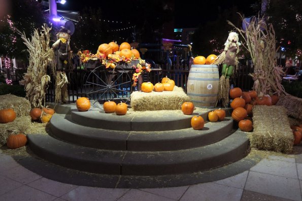 di_20161023_005408_downtowncontainerpark_pumpkins