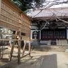 di_20170324_231643_nippori_hongyoji_temple_yard
