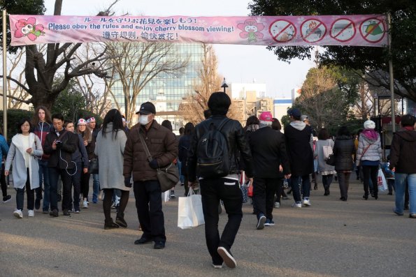 di_20170325_025230_uenopark_cherryblossom_banner