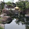 di_20170327_012319_akatsuka_jourenji_temple_carp_pond