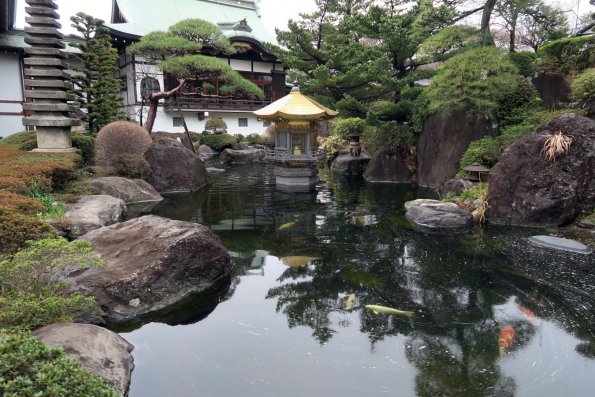 di_20170327_012319_akatsuka_jourenji_temple_carp_pond