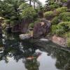 di_20170327_012410_akatsuka_jourenji_temple_carp_pond
