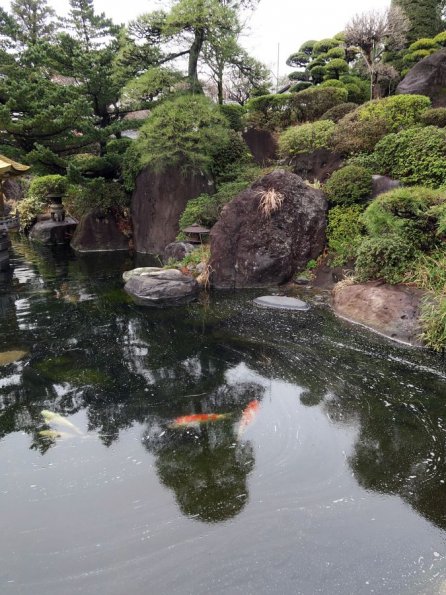 di_20170327_012410_akatsuka_jourenji_temple_carp_pond