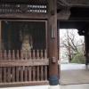 di_20170327_012906_akatsuka_jourenji_temple_gate_guard