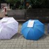 di_20170403_231250_shanghai_peoplespark_marriange_market_umbrellas