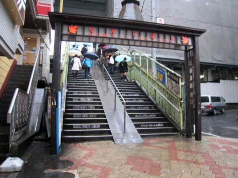 di_20090227-005308-nippori-momiji-bridge.jpg