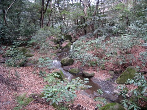 di_20090228-004842-meiji-jingu-brook.jpg