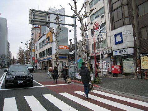 DI_20090228-204438-Meiji-Street-crossing.JPG