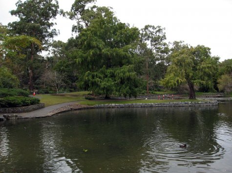 di_20090713-215340-mount-coot-tha-gardens-pond.jpg