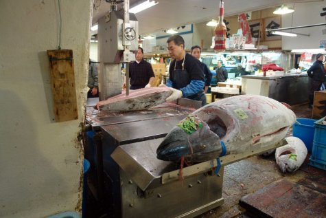 di_20100228-191108-tsukijimarket-tuna-saw-by-fishmonger.jpg