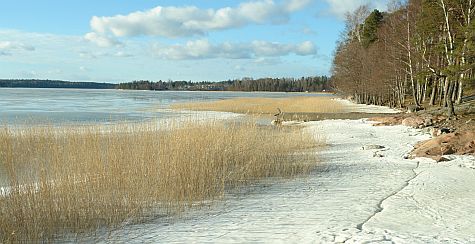 Espoo shore