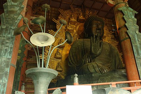 20070725_Toda-Ji_petals_Buddha.jpg