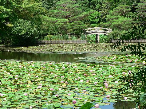 20070726_Ryoan-ji_pond_bridge.jpg
