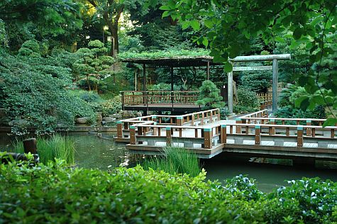 20070812_Harajuku_Togo_pond.jpg