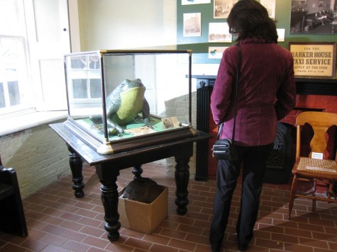 DI_20081003 134214 Fredericton York-SunburyMuseum FredsFamousFrogs